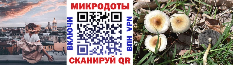Псилоцибиновые грибы Cubensis  наркошоп  Тихвин 