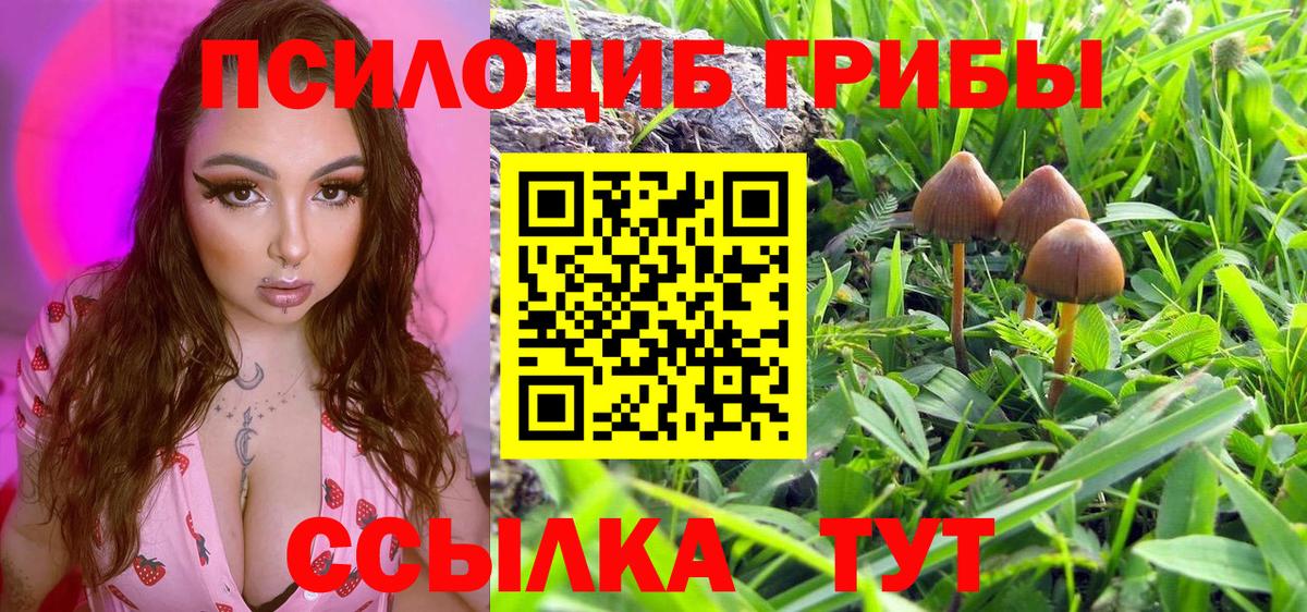 Галлюциногенные грибы MAGIC MUSHROOMS  Псилоцибиновые грибы мухоморы  Вход с VPN  Тихвин 